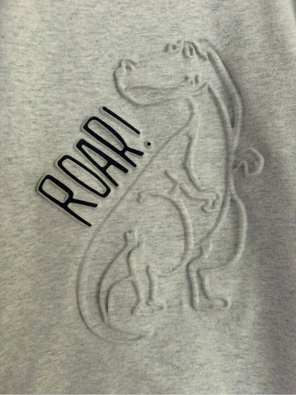 Tommy Bahama Mint Green Dinosaur Sweatshirt 5T
